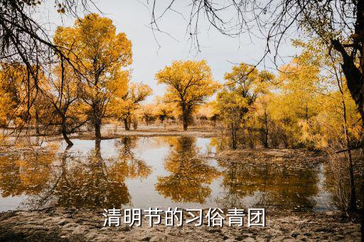 清明團,清明團子來源于千年前南方地區傳統小吃