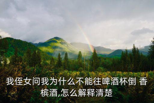我侄女問我為什么不能往啤酒杯倒 香檳酒,怎么解釋清楚