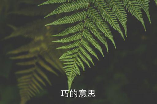巧的意思