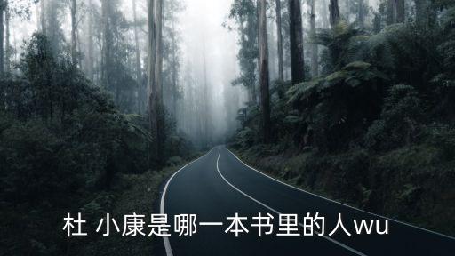 杜 小康是哪一本書里的人wu