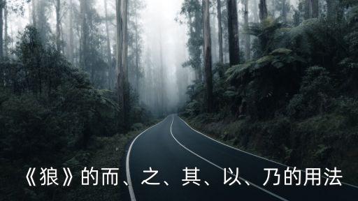 《狼》的而、之、其、以、乃的用法