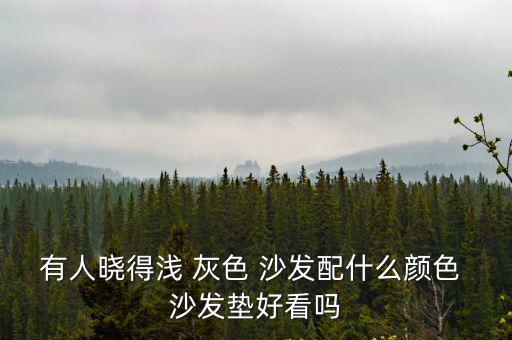 灰色沙發配什么顏色沙發墊