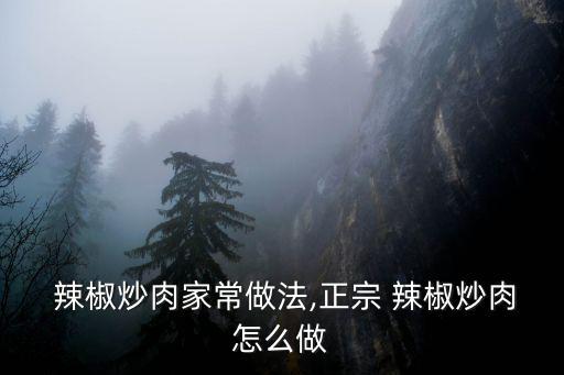 辣椒五花肉,辣椒炒肉的秘訣!