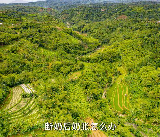  斷奶后奶脹怎么辦