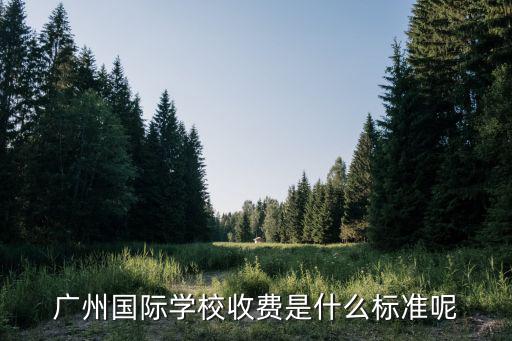 廣州國際學校收費是什么標準呢