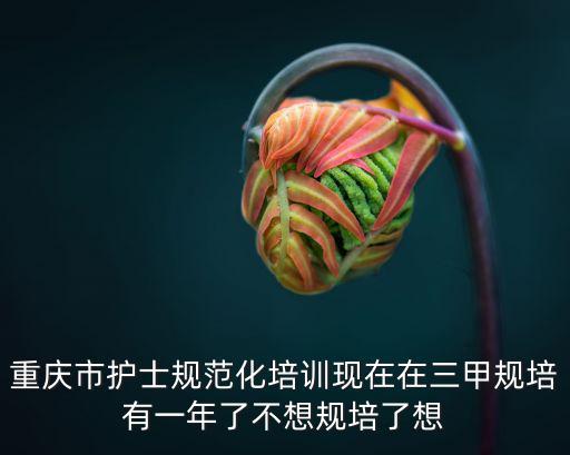 重慶市護士規范化培訓現在在三甲規培有一年了不想規培了想