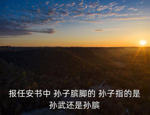 報任安書中 孫子臏腳的 孫子指的是孫武還是孫臏