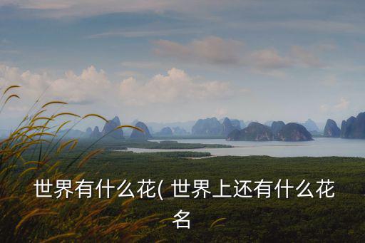 世界上有哪些花,十大名花之一的花名列表