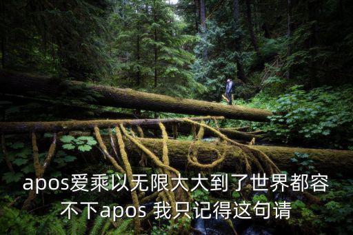 apos愛乘以無限大大到了世界都容不下apos 我只記得這句請