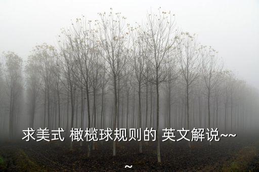 求美式 橄欖球規則的 英文解說~~~