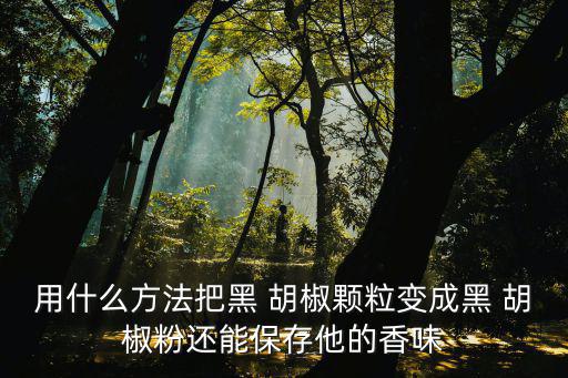黑胡椒粒,黑胡椒菜要注意兩個關鍵點:一是不要和肉一起煮太久
