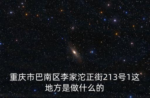 重慶市巴南區(qū)李家沱正街213號(hào)1這地方是做什么的