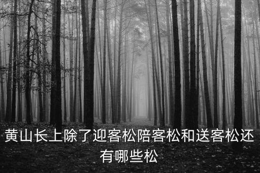 龍爪松,黃山十大名松之一孔雀松名列其中
