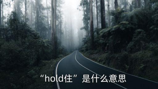 堅持住英文,holdhold不住!傷不起堅持住