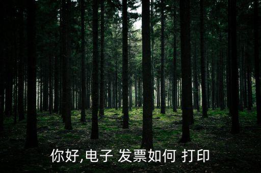 你好,電子 發票如何 打印