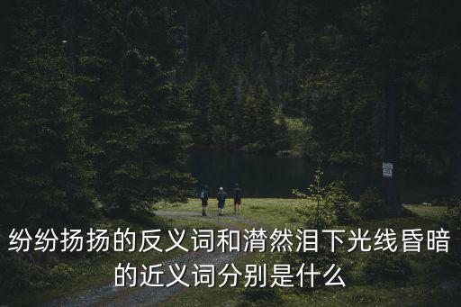 紛紛揚揚的反義詞和潸然淚下光線昏暗的近義詞分別是什么