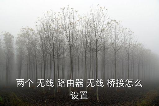 無線橋接路由器,如何連接第二個(gè)路由器?