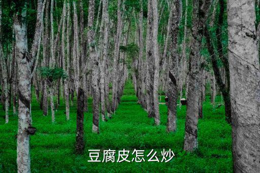 辣炒豆腐皮,辣椒水燒開豆腐皮過涼水