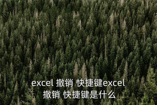 取消撤銷快捷鍵,如何使用快捷鍵取消或恢復(fù)正常操作?