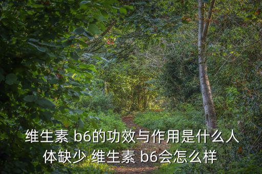 維生素b6片的功效與作用,維生素b6或有助預防缺鐵性貧血癥