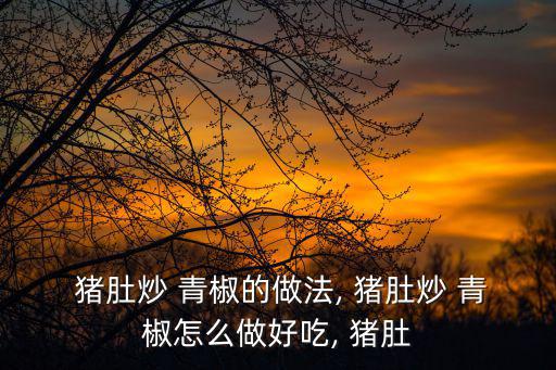  豬肚炒 青椒的做法, 豬肚炒 青椒怎么做好吃, 豬肚