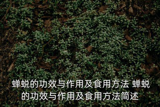 蟬蛻的作用與功效,蟬蛻的作用和功效