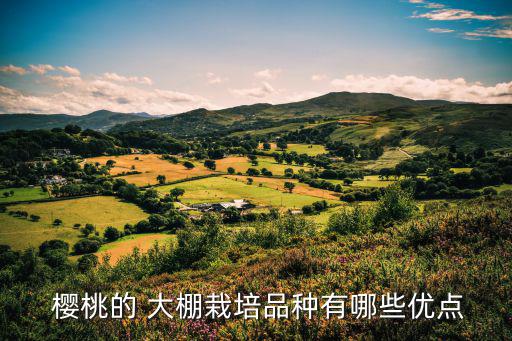 櫻桃大棚,中國浙江黃巖零售價:櫻桃帶小果形每公斤50元
