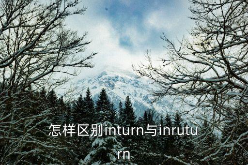 怎樣區(qū)別inturn與inruturn