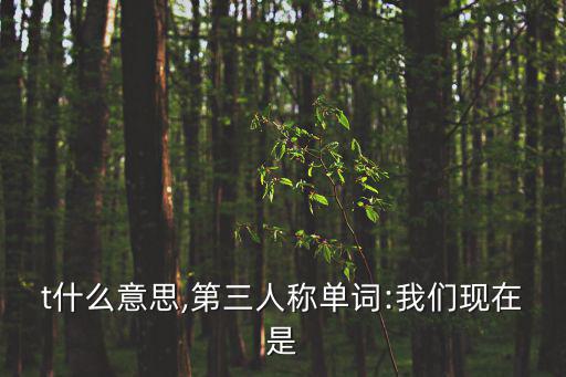 got什么意思,第三人稱單詞:我們現(xiàn)在是