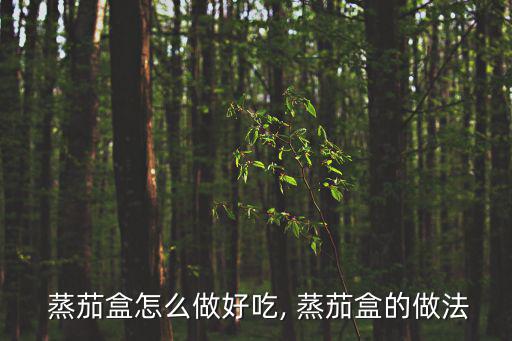  蒸茄盒怎么做好吃, 蒸茄盒的做法