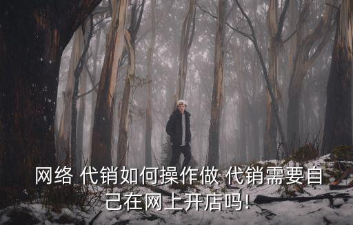  網(wǎng)絡(luò) 代銷如何操作做 代銷需要自己在網(wǎng)上開店嗎!