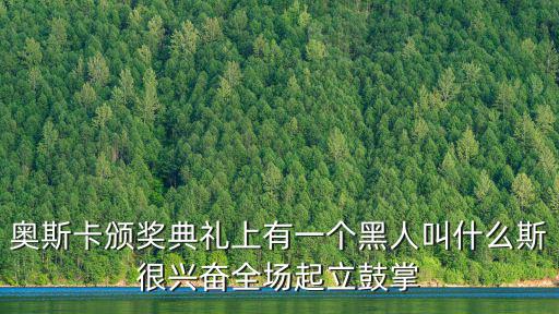 奧斯卡頒獎典禮上有一個黑人叫什么斯很興奮全場起立鼓掌