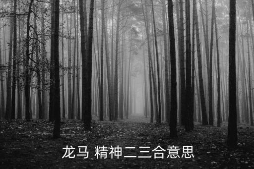 龍馬精神什么意思