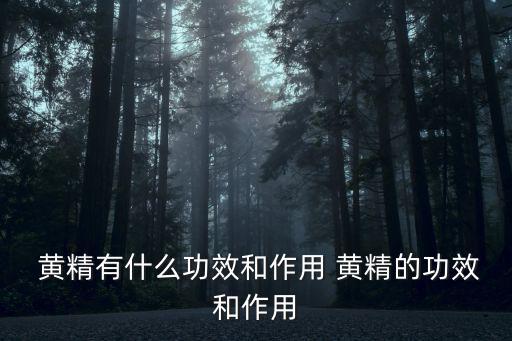  黃精有什么功效和作用 黃精的功效和作用