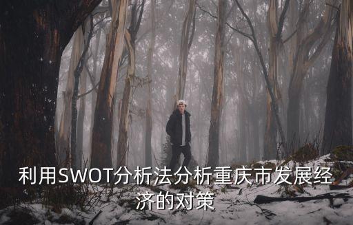 利用SWOT分析法分析重慶市發(fā)展經濟的對策