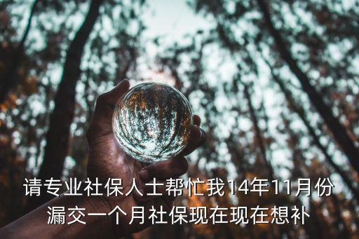 請專業社保人士幫忙我14年11月份漏交一個月社保現在現在想補