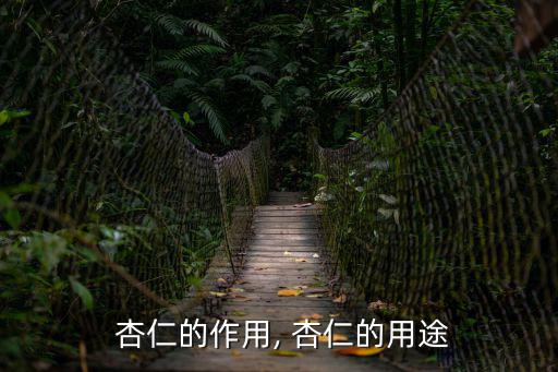 杏仁的作用與功效