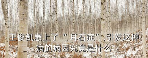 王俊凱患上了“ 耳石癥”,引發這種病的病因究竟是什么