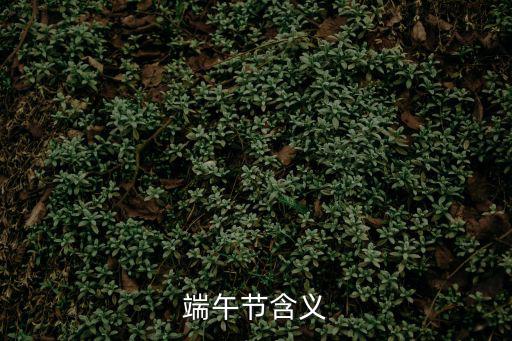 端午節(jié)含義
