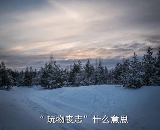 玩物喪志是什么意思,玩物喪志四字句:玩沒用的東西耽誤大事