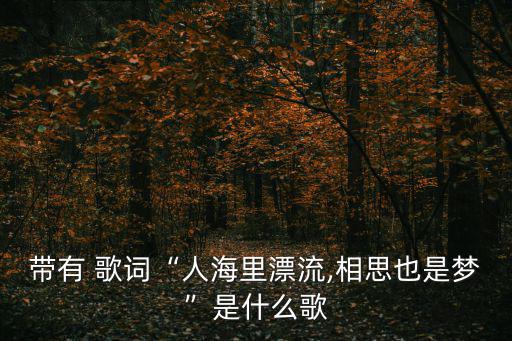 真情流露歌詞,《風雨中相思》之浮在海上的日子