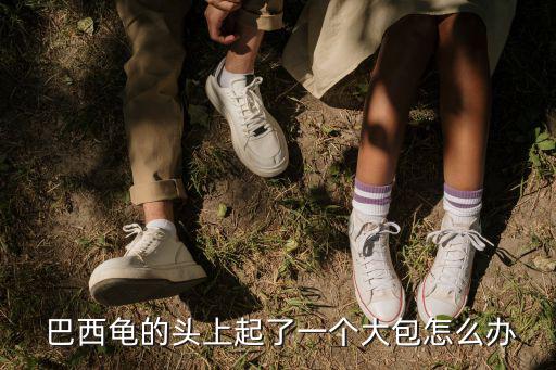 巴西護理,巴西烏龜養殖注意事項:少喂也不要喂