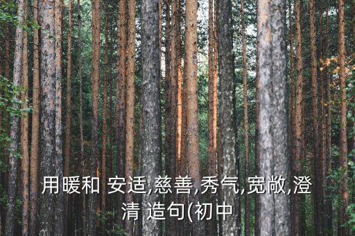 用暖和 安適,慈善,秀氣,寬敞,澄清 造句(初中