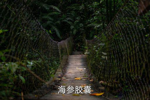 海參膠囊