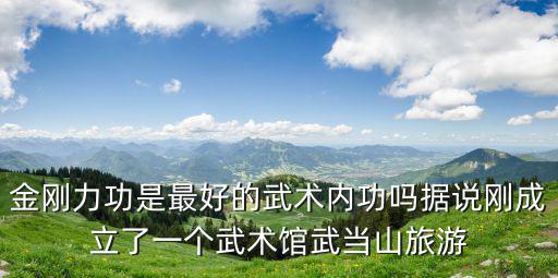 金剛力功是最好的武術(shù)內(nèi)功嗎據(jù)說剛成立了一個武術(shù)館武當(dāng)山旅游