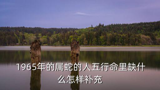 1965年屬蛇是什么命,第三集:1965年出生是屬蛇的一生