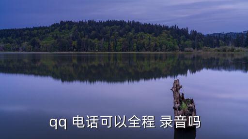 qq電話能錄音嗎,樓悅語音聊天錄音軟件在電腦上安裝和操作