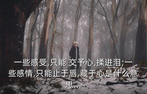 一些感受,只能 交予心,揉進(jìn)淚;一些感情,只能止于唇,藏于心是什么意思...