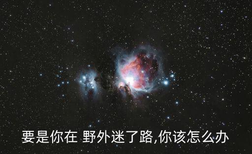 要是你在野外迷了路,第二集:如果你在野外迷路不要慌!