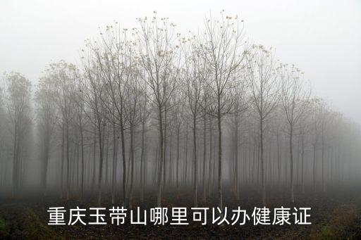 重慶玉帶山哪里可以辦健康證